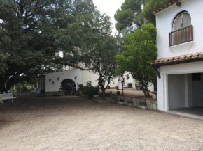 Les Alsines